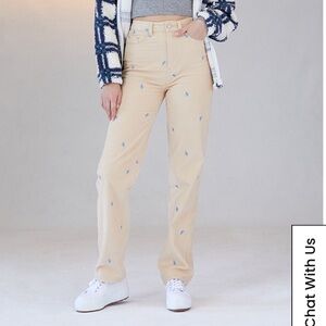 PacSun Mirco Embroidered Mushroom Boyfriend Jeans size 24